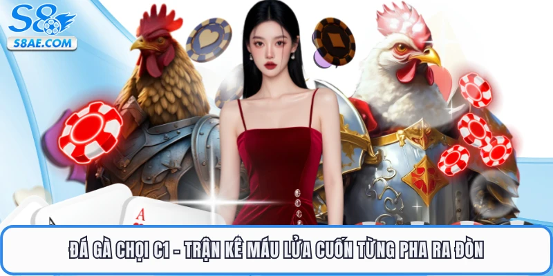 Đá Gà Chọi C1 - Trận Kê Máu Lửa Cuốn Từng Pha Ra Đòn